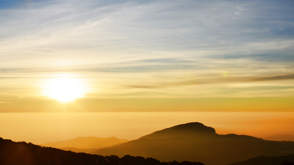 divorce coaching collective, live free coaching collective footer