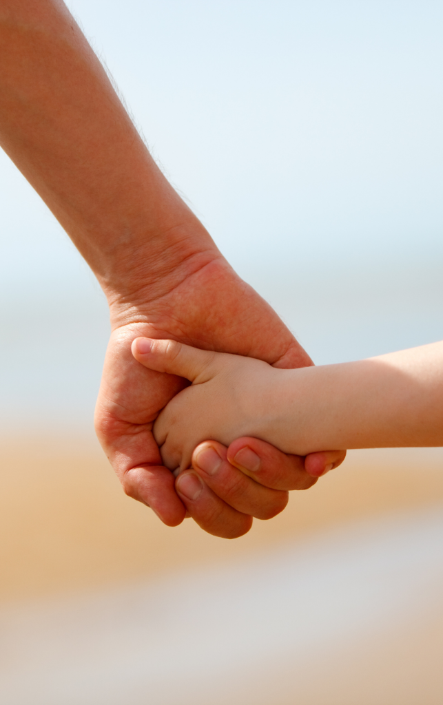 divorce coaching services